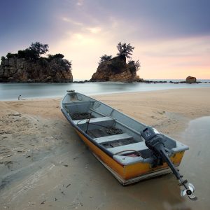 Photography for Nature and Wildlife