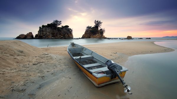 Photography for Nature and Wildlife